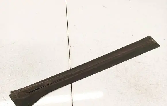 Opel Zafira B Rubber seal front coupe door 13131953