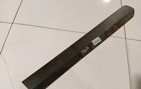 Rear door trim (molding)