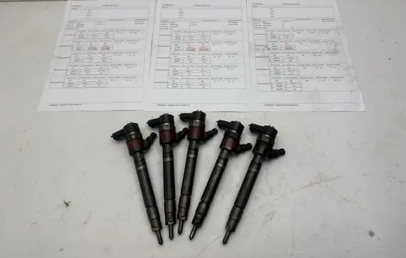 Volvo V70 Fuel injector 0445110251