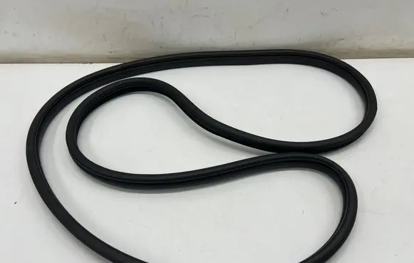KIA EV6 Front door rubber seal 