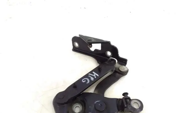 Bentley Continental Tailgate/trunk/boot hinge 3W8827301H