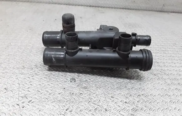 Thermostat/thermostat housing