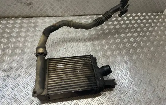 Dacia Lodgy Intercooler radiator