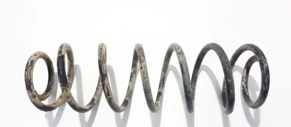 Volkswagen Polo Rear coil spring