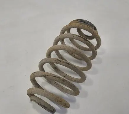 Rear coil spring