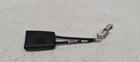 Volkswagen New Beetle Rear seatbelt buckle 1C0858493B