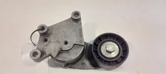 Volvo V40 Alternator belt tensioner 846143