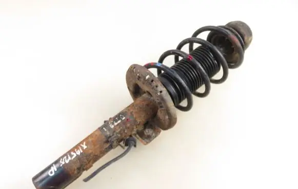 Skoda Roomster (5J) Front shock absorber with coil spring 