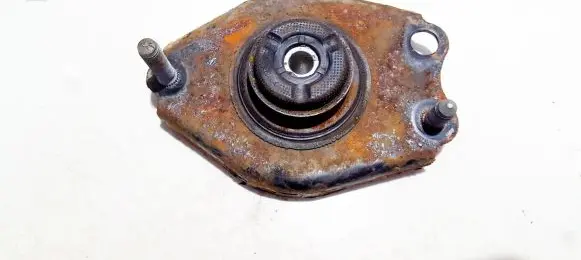 Coil spring mount