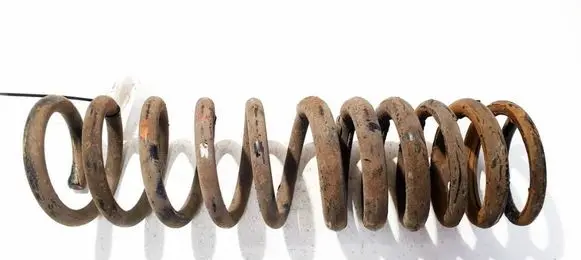 Ford Focus Rear coil spring 