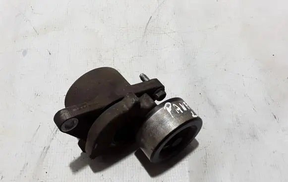 Nissan Pathfinder R51 Timing belt/chain tensioner 119555X00D