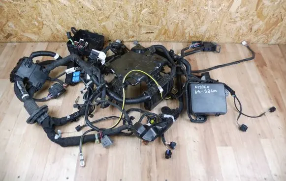 Other wiring loom