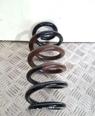 Rear coil spring