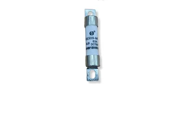 Tesla Model Y Fuse RS309MF