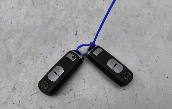 Ignition key/card