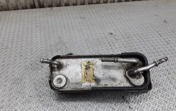 Mercedes-Benz C W203 Fuel cooler (radiator) 