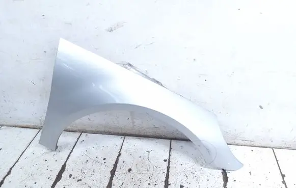 Mercedes-Benz R W251 Fender 