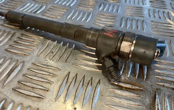 Hyundai Santa Fe Fuel injector 0445110254