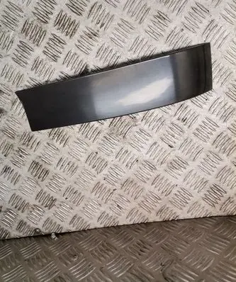 Rear/tail light trim molding