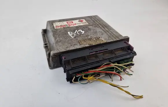 Volkswagen Golf IV LP gas control unit module 67R011002 110R001001