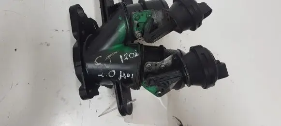 Citroen C5 Throttle valve 9670373980