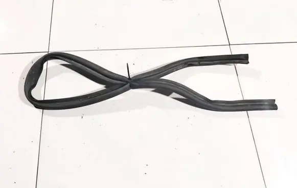 Renault Laguna III Rubber seal rear door 