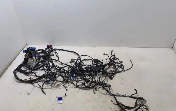 Other wiring loom