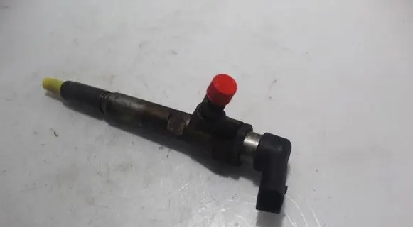 Renault Megane II Fuel injector 