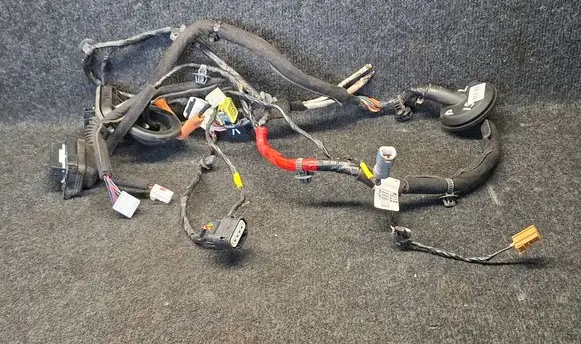 Hyundai Santa Fe Front door wiring loom 91600S1181C 91600S1181