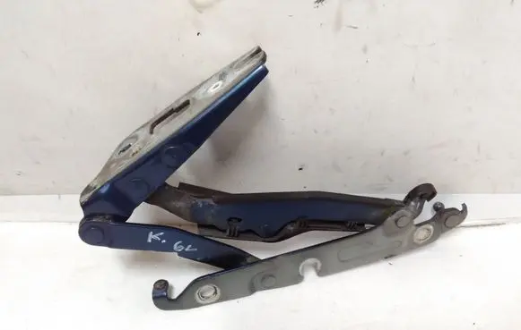 Tailgate/trunk/boot hinge