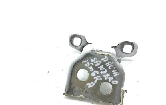 Dacia Sandero Rear door lower hinge