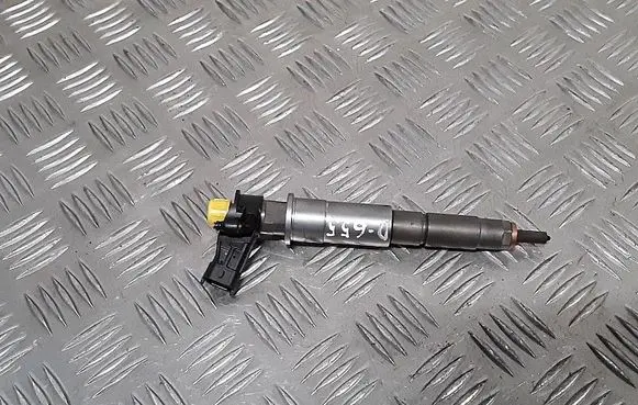 Renault Koleos I Fuel injector 0445115007 h82409398