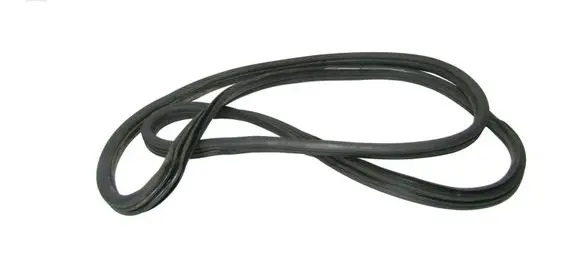 BMW X5M E70 Rear door rubber seal (on body) 7234931
