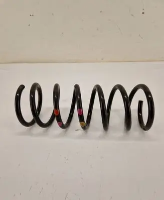 Ford C-MAX II Rear coil spring 