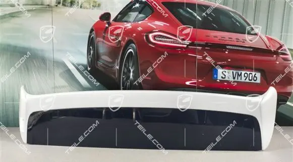 Porsche Cayenne (9PA) Tailgate/trunk spoiler 95551293903G2X