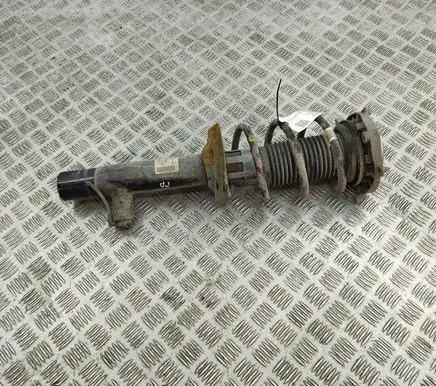 Skoda Enyaq iV Front shock absorber/damper 1EA413032R