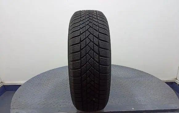 Peugeot 406 R17 winter tire 4050496001858