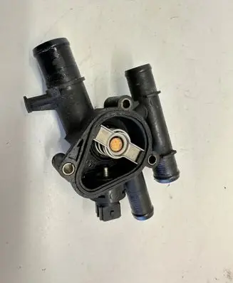 Thermostat/thermostat housing