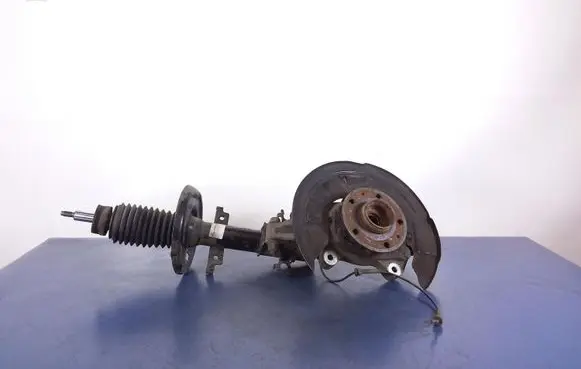Renault Laguna III Front wheel hub spindle knuckle