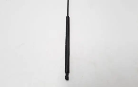 Tailgate strut