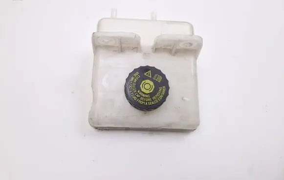 Renault Zoe Brake fluid reservoir 0204720866