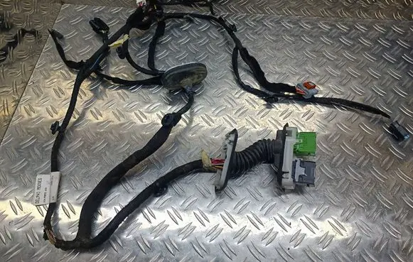 Citroen DS7 Crossback Front door wiring loom 9826015180