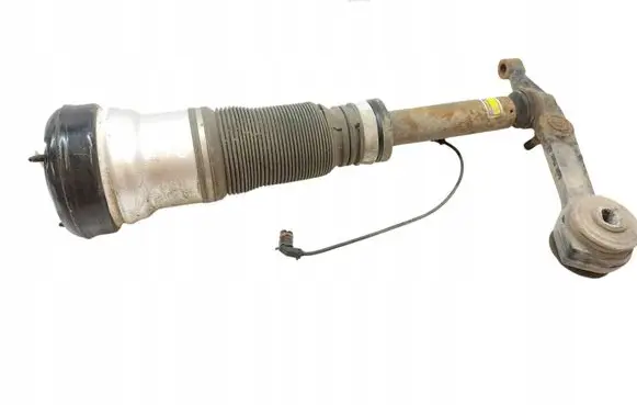 Mercedes-Benz S W220 Front shock absorber/damper 