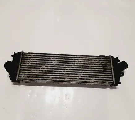 Renault Trafic II (X83) Intercooler radiator 8200411160