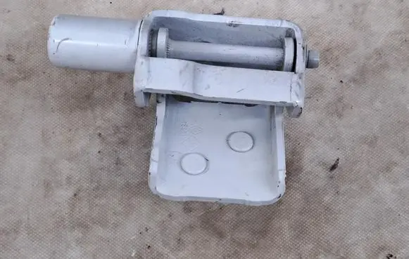 Renault Zoe Rear door lower hinge 864601