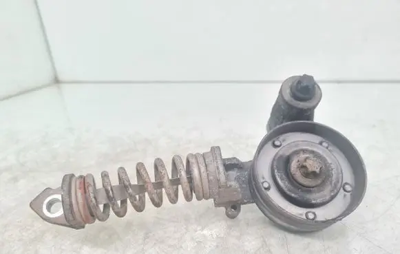 Opel Corsa E Alternator belt tensioner 55565236