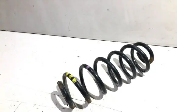 Peugeot 307 Rear coil spring