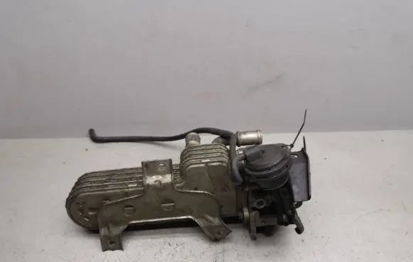 Volkswagen PASSAT B6 EGR valve cooler 038131513AD