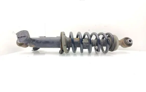 Peugeot 508 Rear shock absorber with coil spring 9805434580 03091000194