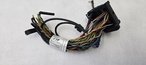 BMW X3 F25 Other wiring loom 53092011 10055910